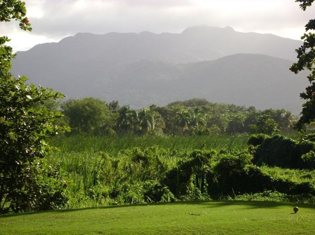 Rio Mar Village - Golf Course View Río Grande Exterior foto