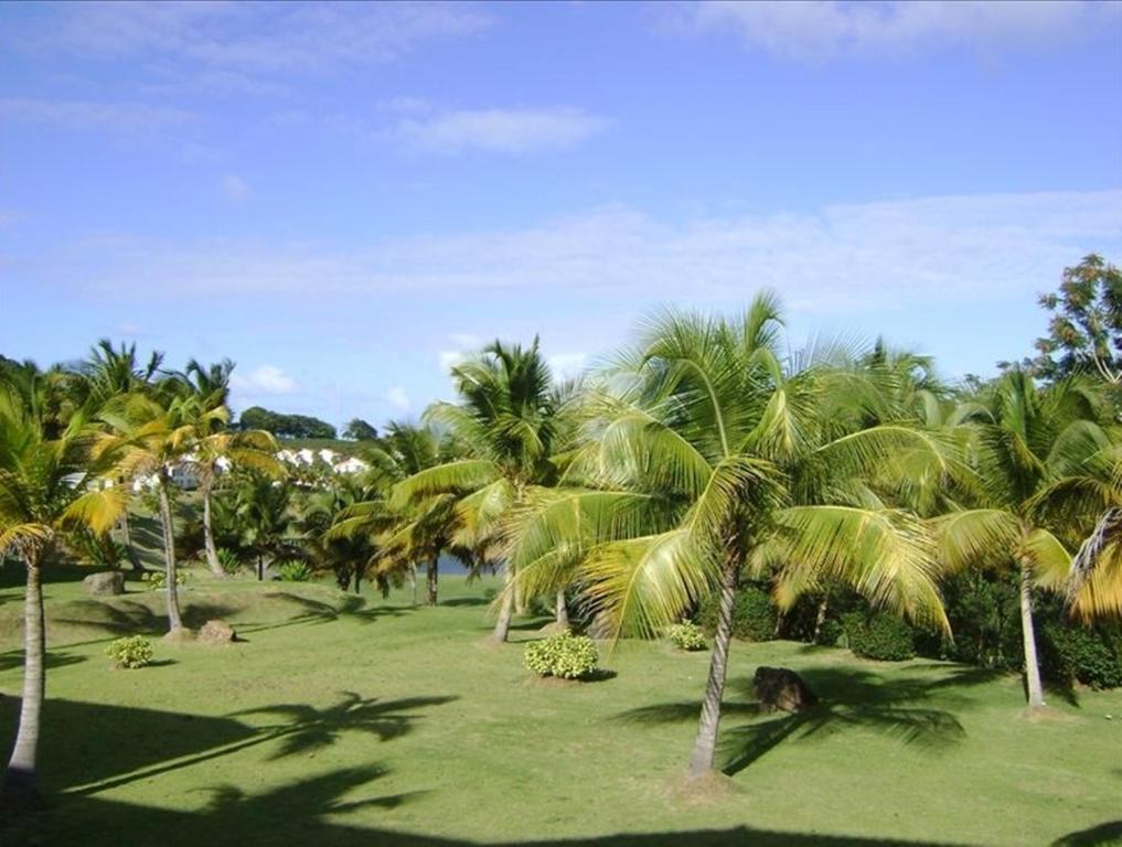 Rio Mar Village - Golf Course View Río Grande Exterior foto